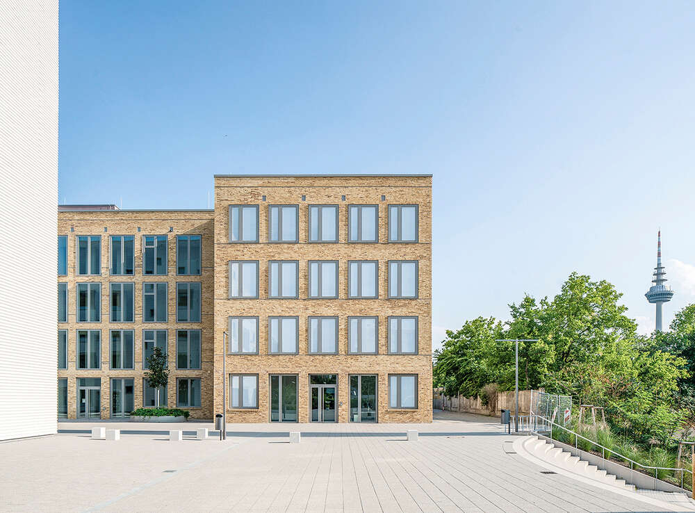 Arne Schumacher (Arne Schumacher)