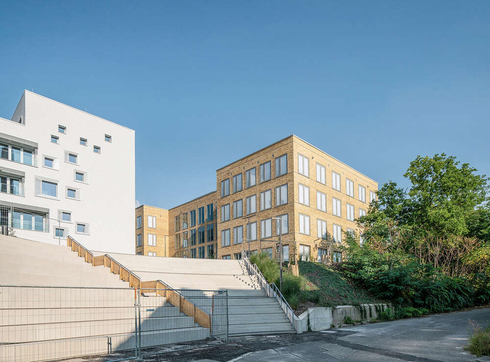 Arne Schumacher (Arne Schumacher)