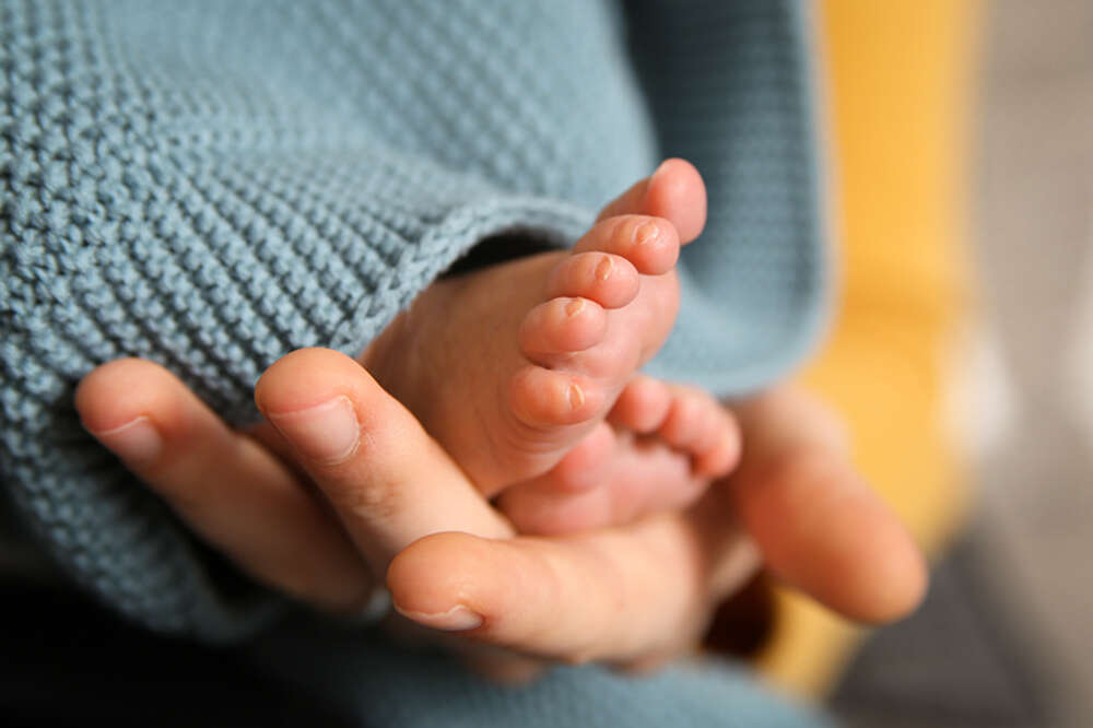 Babyfotografie (Herbstzeitloses photography)