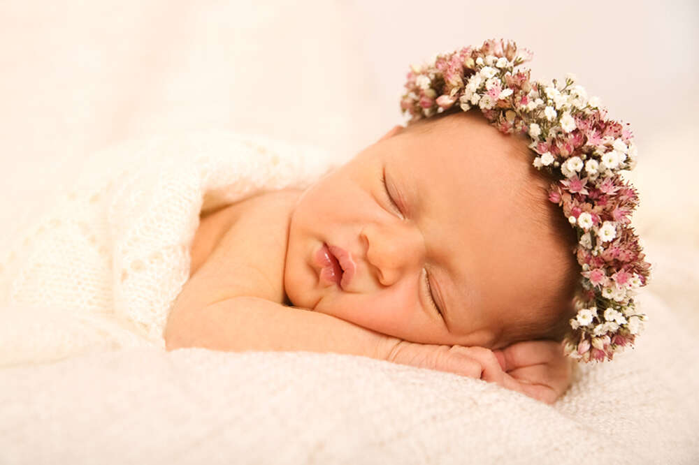 Babyfotografie (Herbstzeitloses photography)