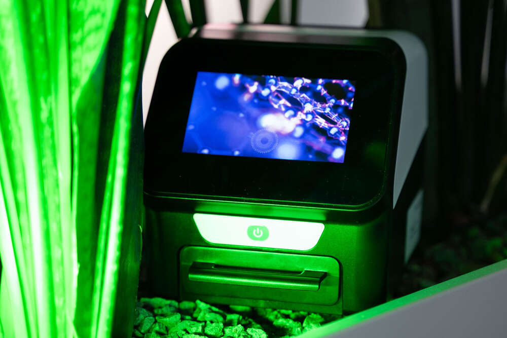 make Fotografie (make Fotografie)