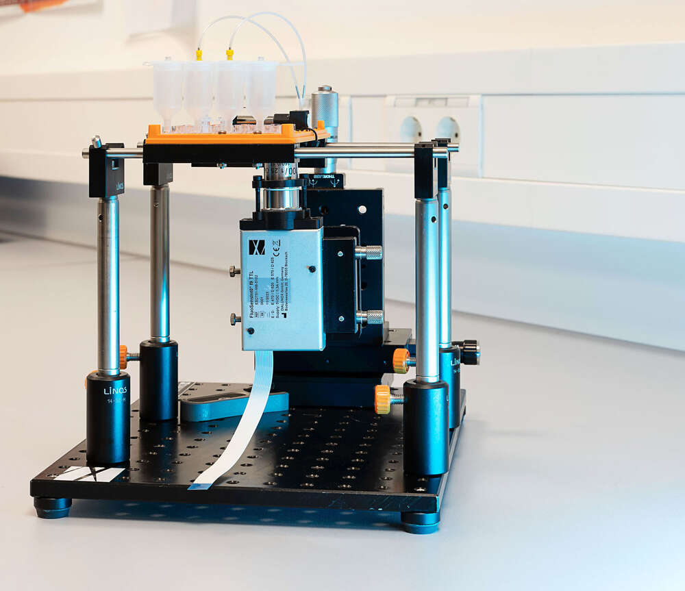 make Fotografie (make Fotografie)