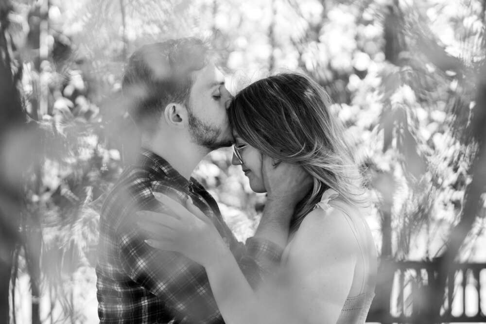 Sarfeld Photography (Sarfeld Photography)