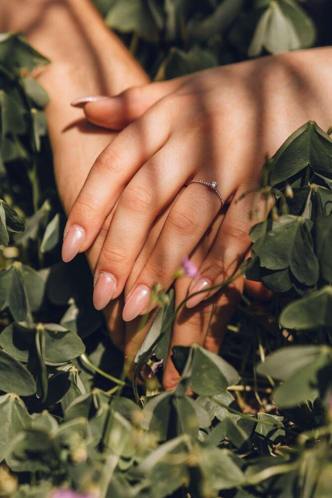 Sarfeld Photography (Sarfeld Photography)