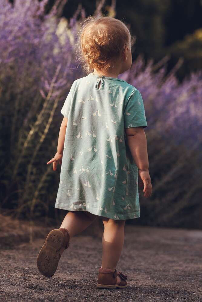 Sarfeld Photography (Sarfeld Photography)