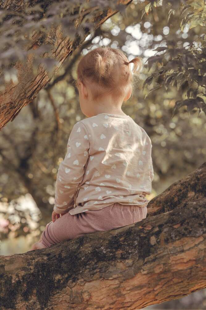 Sarfeld Photography (Sarfeld Photography)