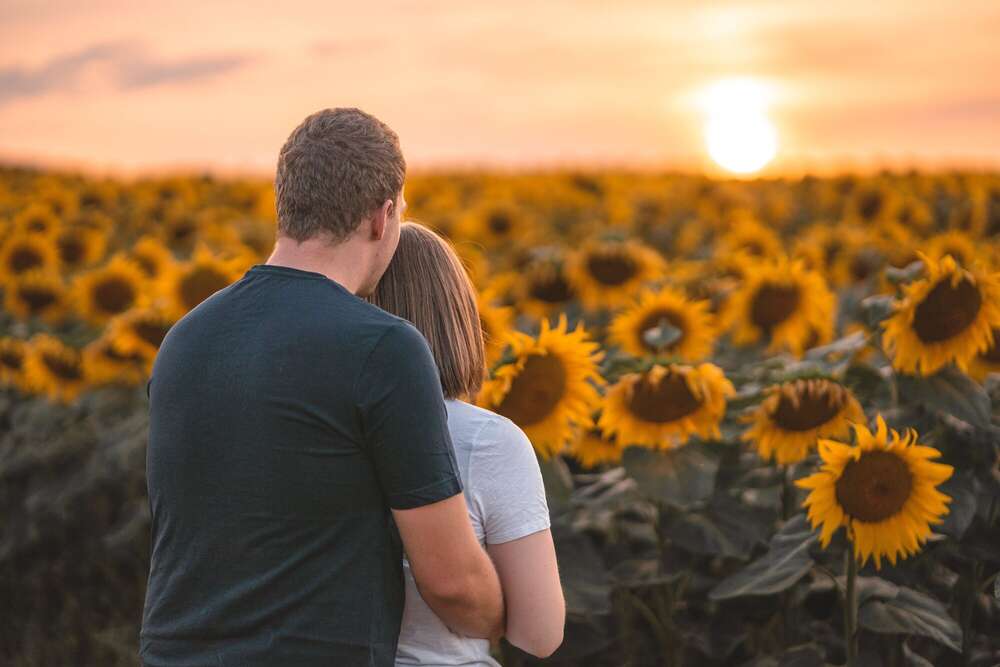 MH-Bilderwerkstatt (MH-Bilderwerkstatt)