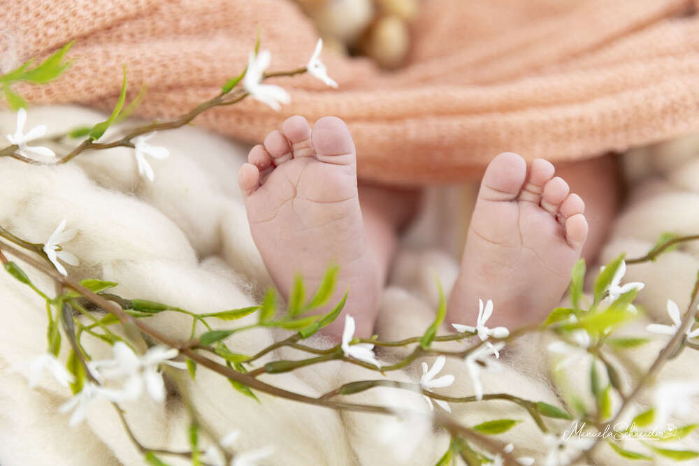 Cela - Photography (Cela - Photography)