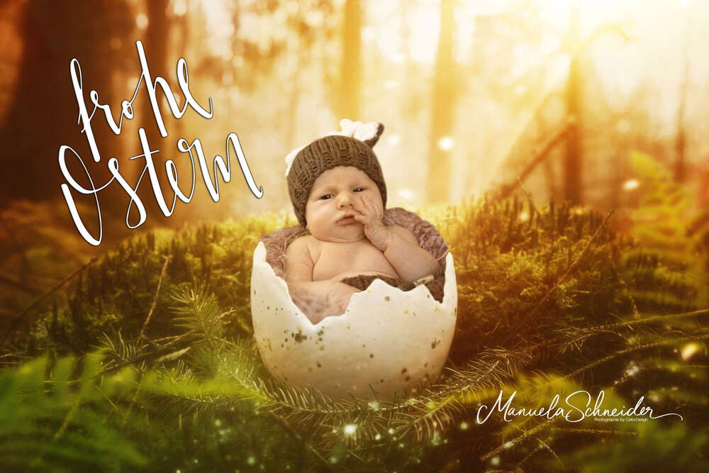 Cela - Photography (Cela - Photography)