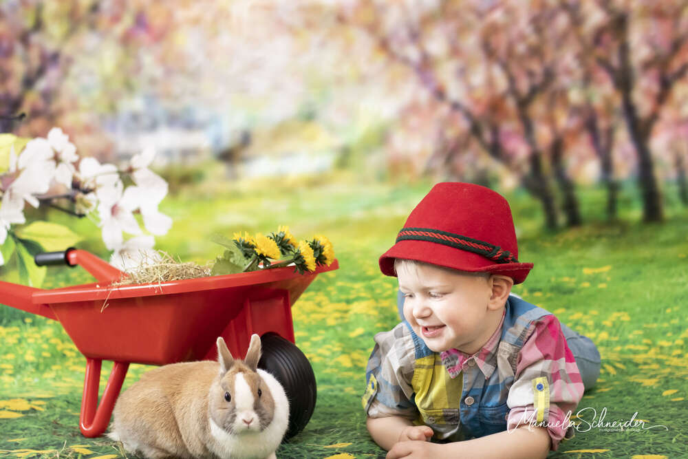 Cela - Photography (Cela - Photography)