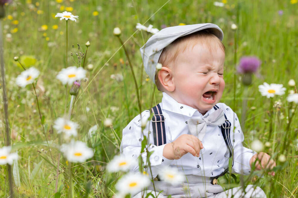 Cela - Photography (Cela - Photography)