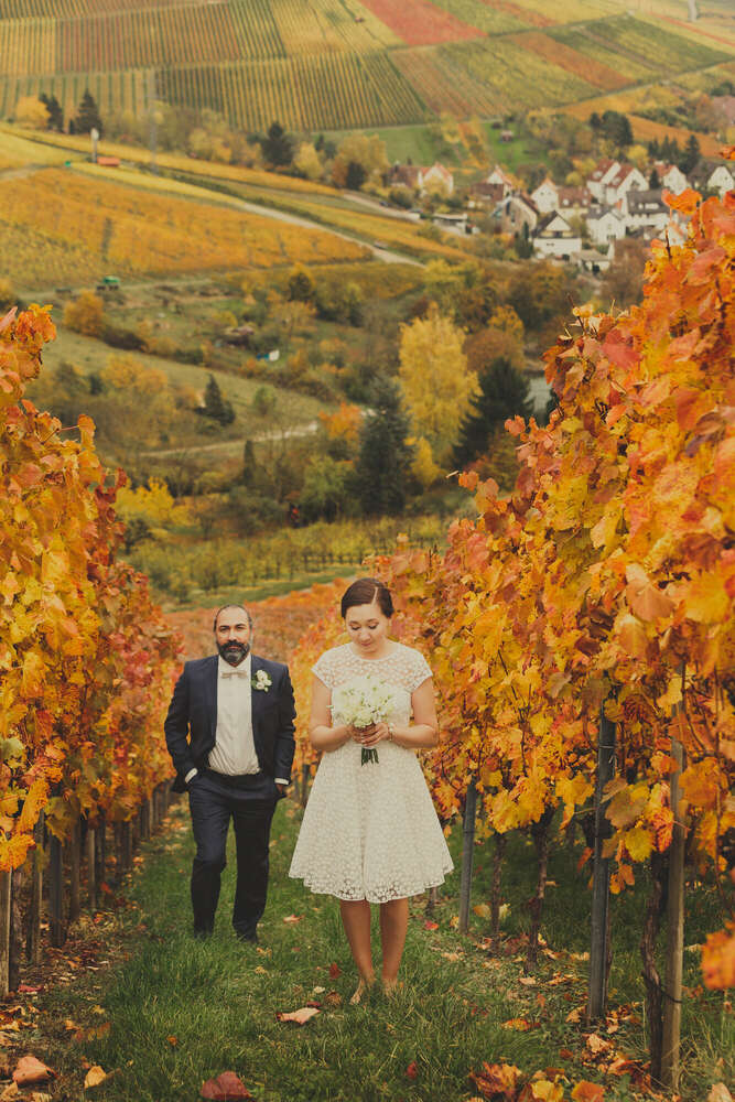 Dubinski Cinematography