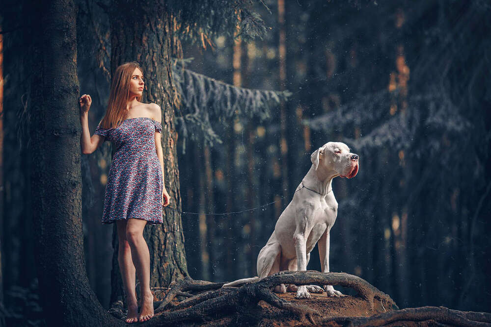 Videograf | Fotograf | Videographer | Photographer (Videograf | Fotograf | Videographer | Photographer)