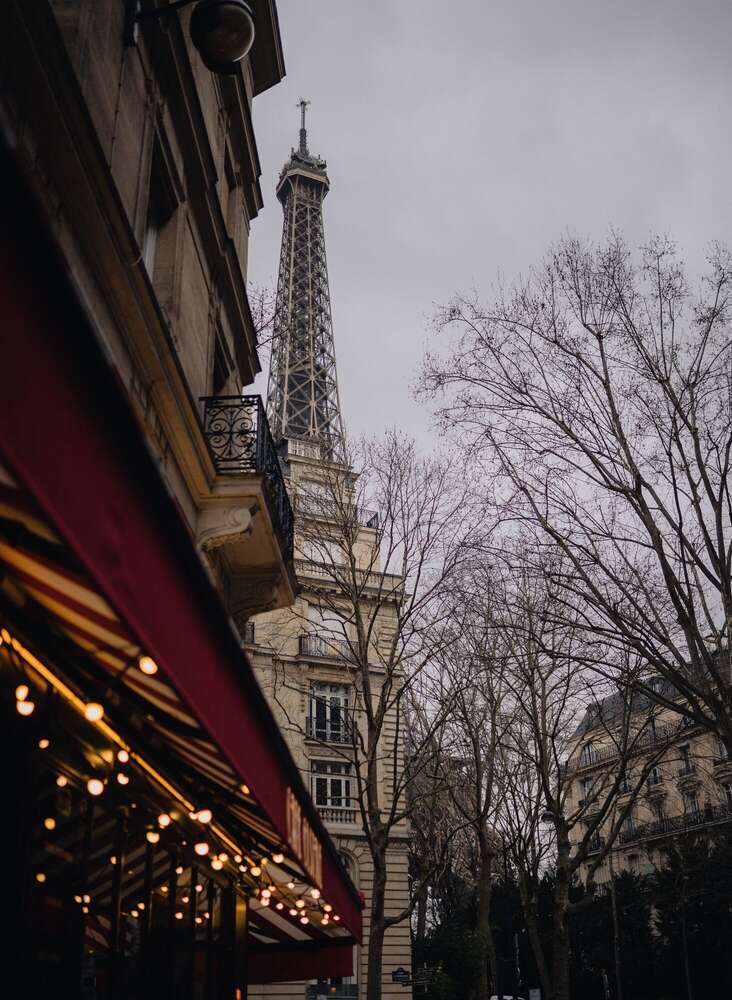 Mario Scheibl Fotografie