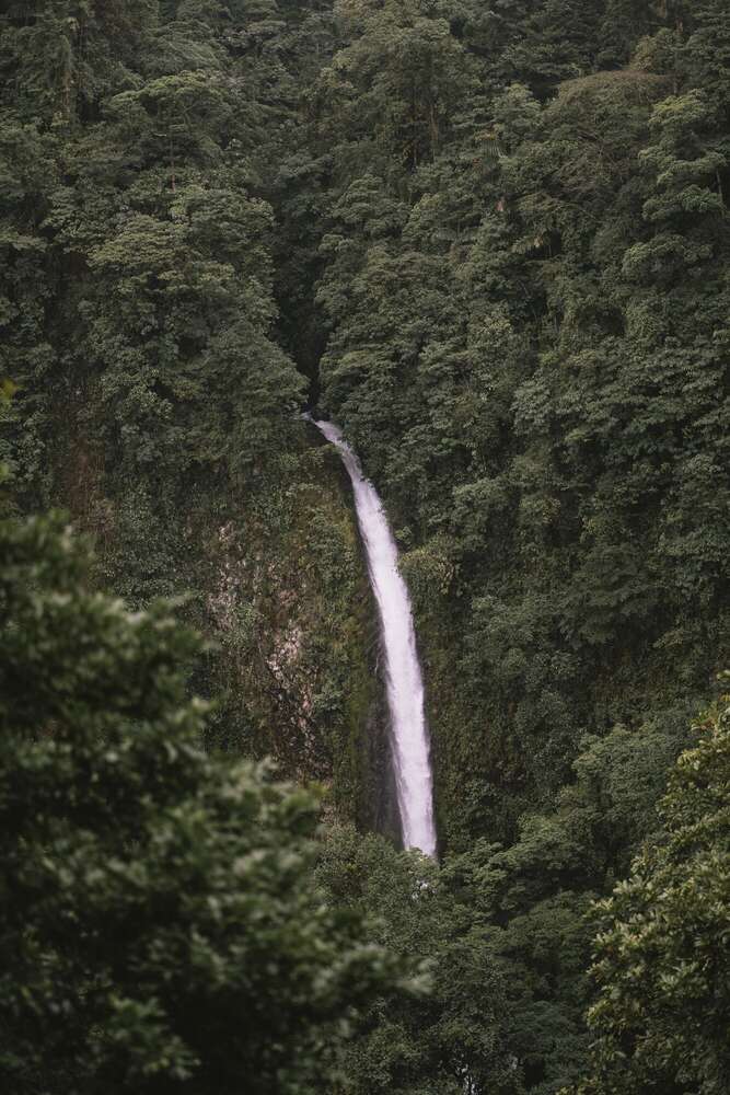 Mario Scheibl Fotografie