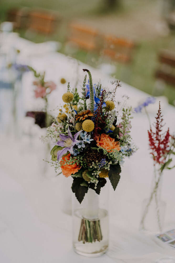 Mario Scheibl Fotografie (Mario Scheibl Fotografie)