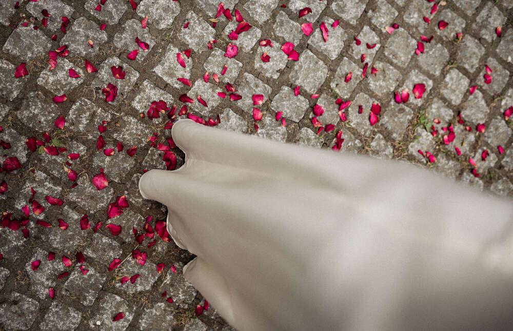 Mario Scheibl Fotografie (Mario Scheibl Fotografie)