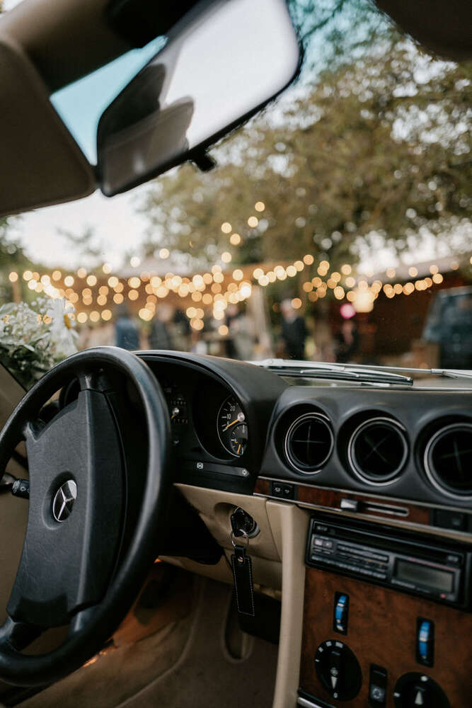 Mario Scheibl Fotografie (Mario Scheibl Fotografie)