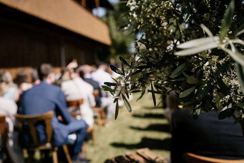 Mario Scheibl Fotografie (Mario Scheibl Fotografie)