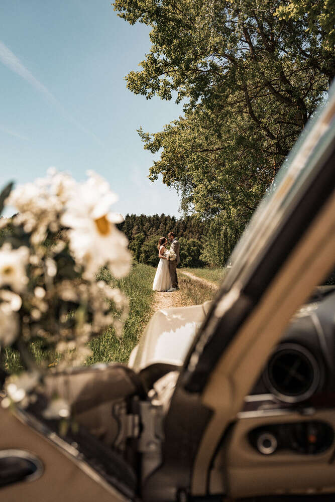 Mario Scheibl Fotografie (Mario Scheibl Fotografie)