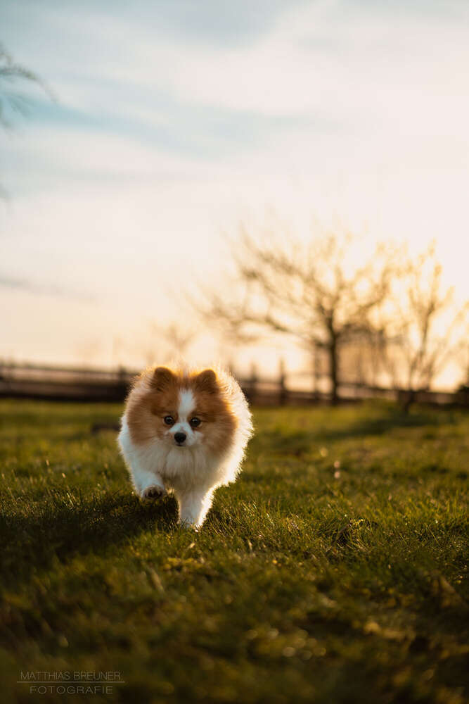 Matthias Breuner Fotografie (Matthias Breuner Fotografie)
