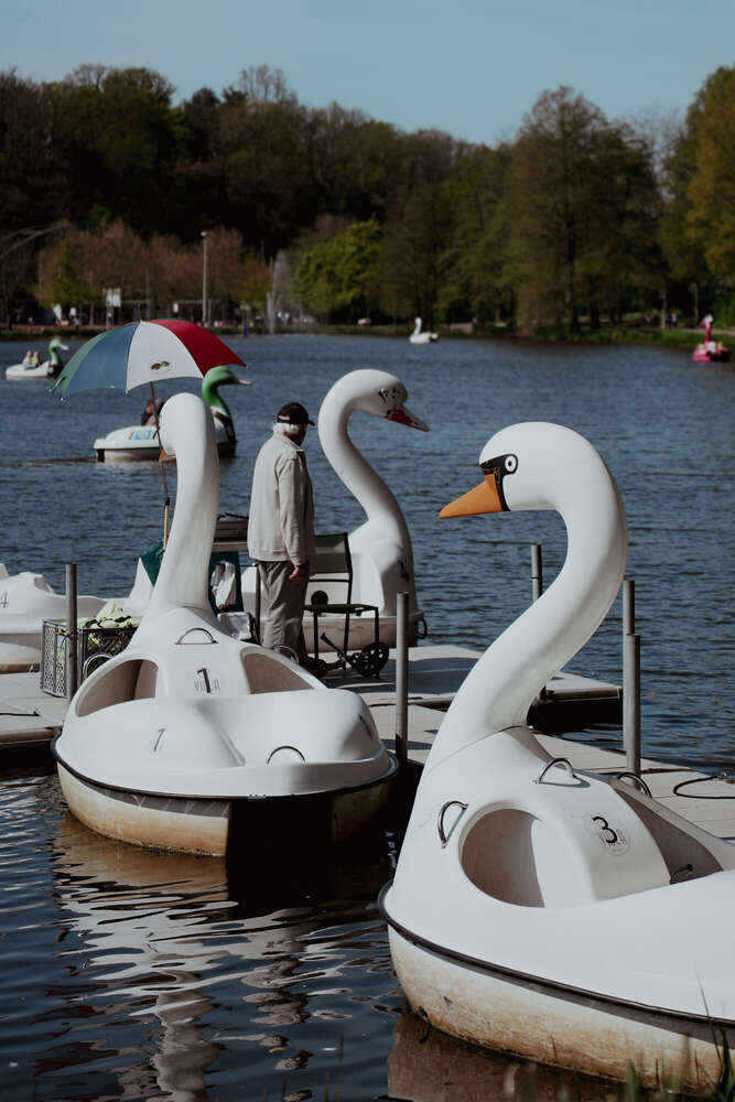 Saemi Baqué (Saemi Baqué)