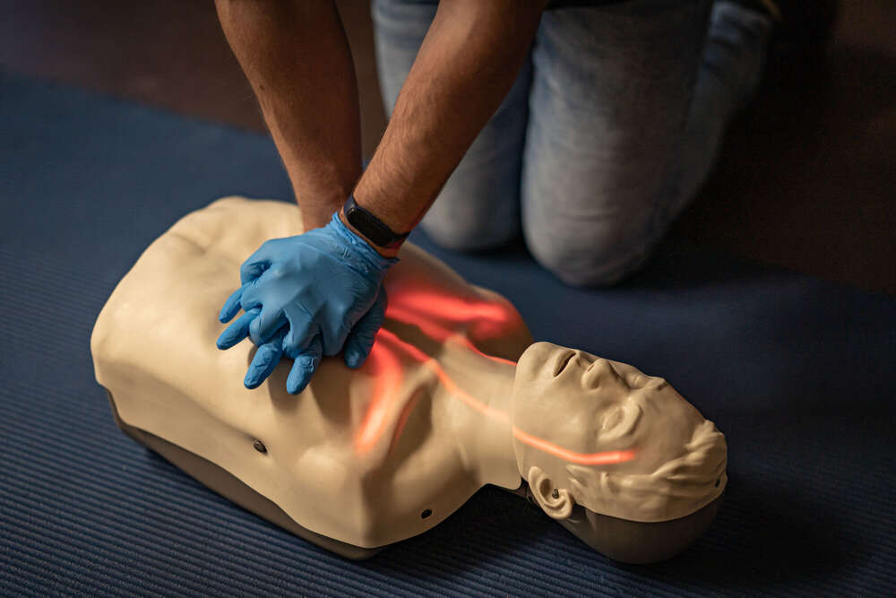 Alfonso Berlin (Alfonso Berlin)