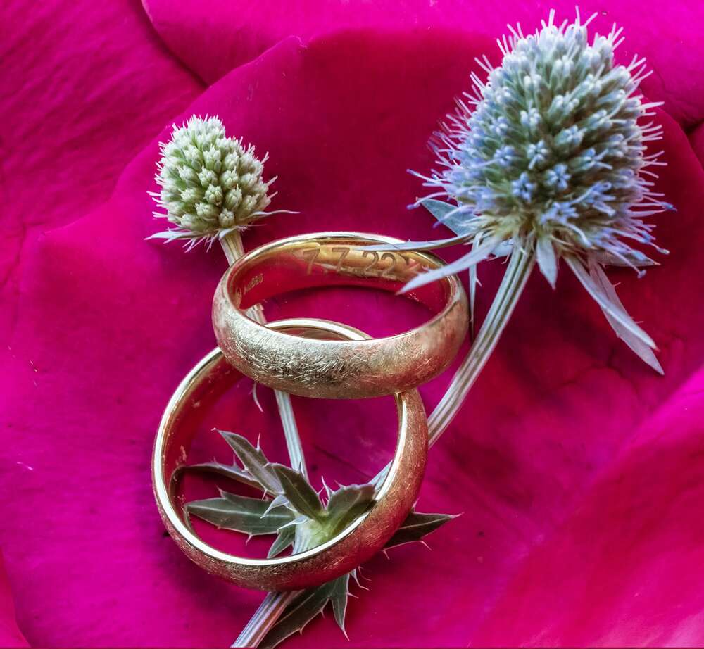 gezett-Studio (gezett-Studio)