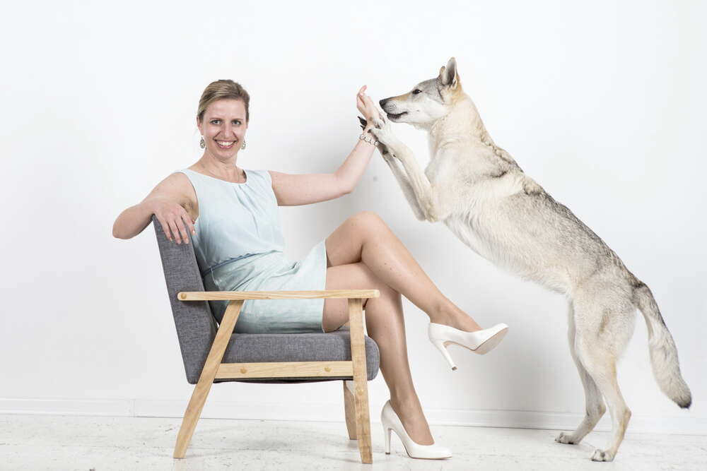 gezett-Studio (gezett-Studio)