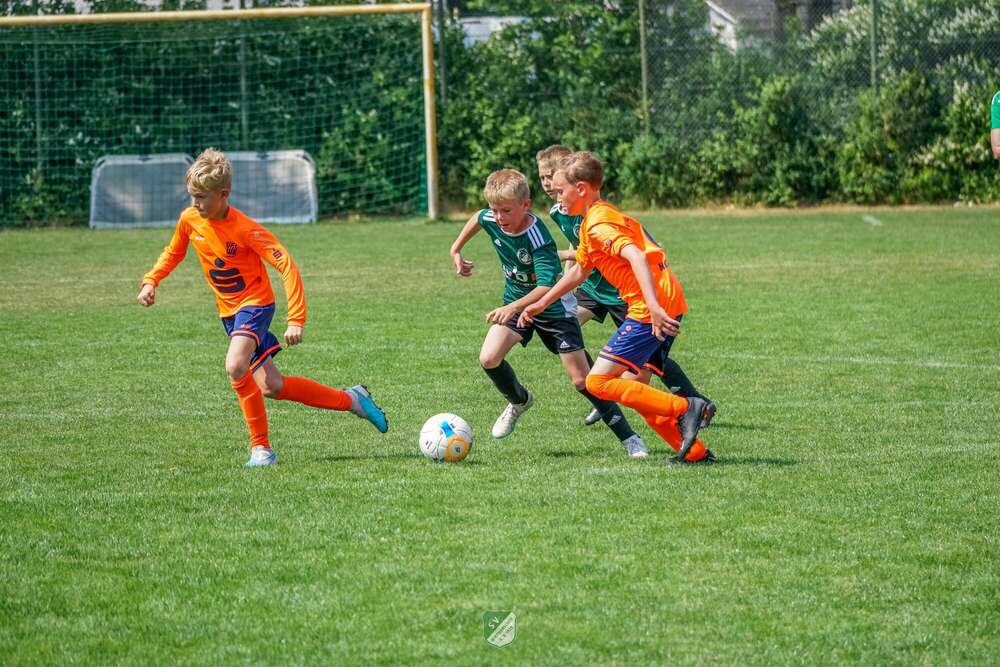 HiveMedia Digital Agentur