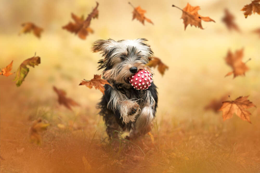 Sarahs Fotowerkstatt