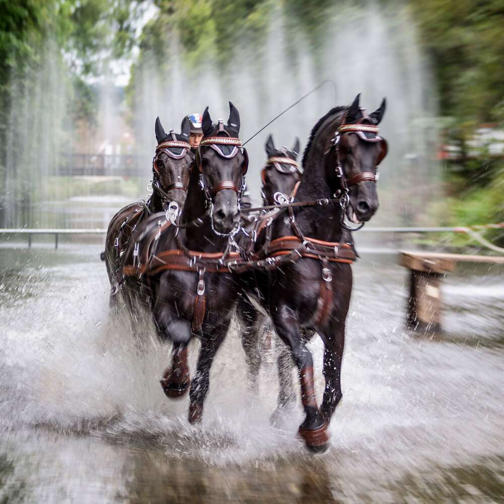 CAI Donaueschingen (Ralf Brunner | Diplom-Fotograf)