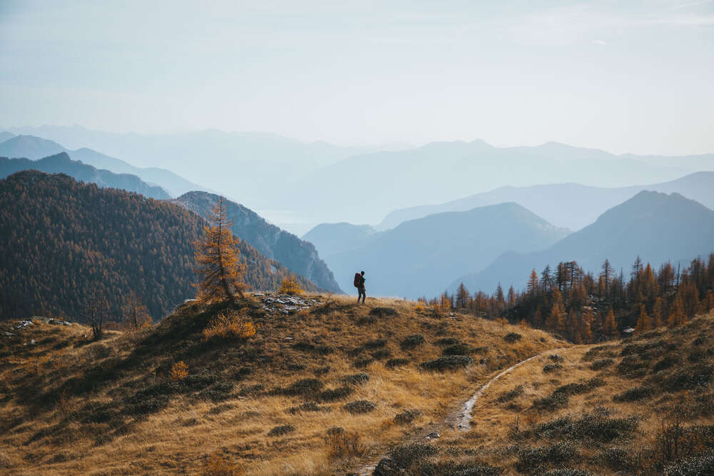 Philipp Heigel (Philipp Heigel)