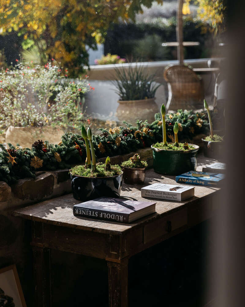 Philipp Heigel (Philipp Heigel)