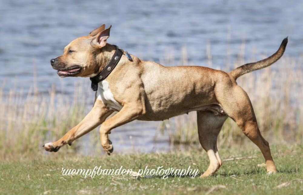 Staffs at the beach  (Carina Schubert)