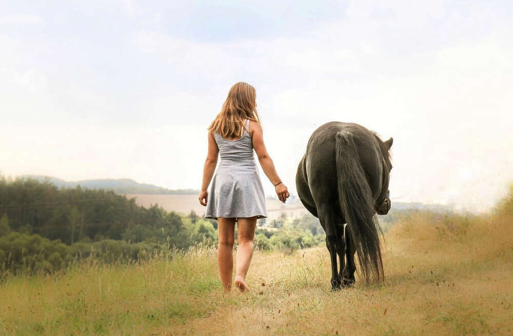 Kids and Ponys  (Carina Schubert)