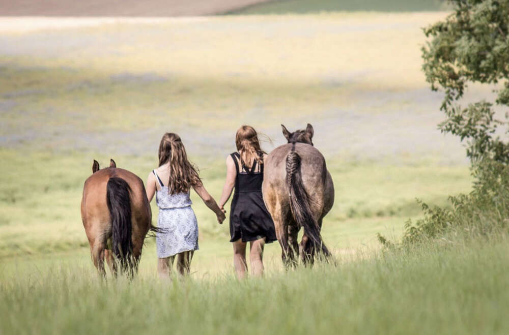 Friendship (Carina Schubert)