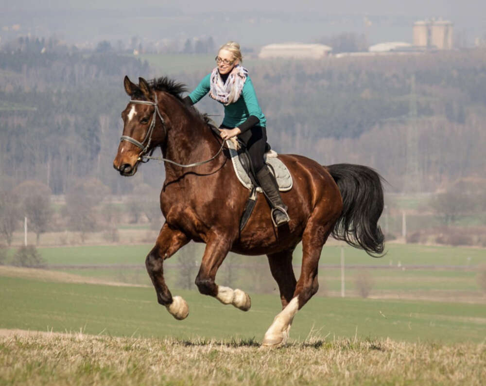 Fun at the fields  (Carina Schubert)