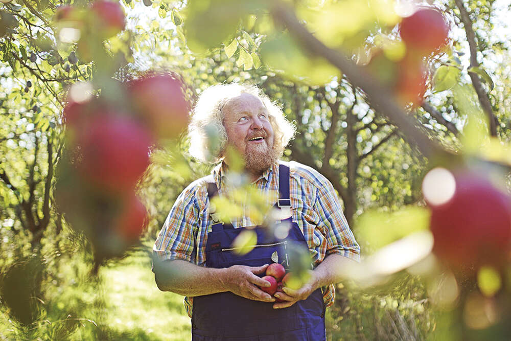 Der "Hüter der alten Apfelsorten" Eckart Brandt, Boomgarden (Dennis Williamson)