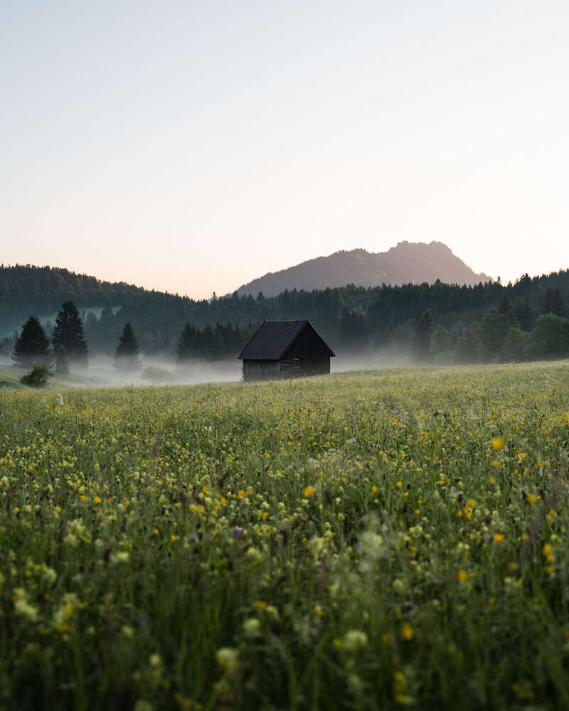 Simon Brausten Photography