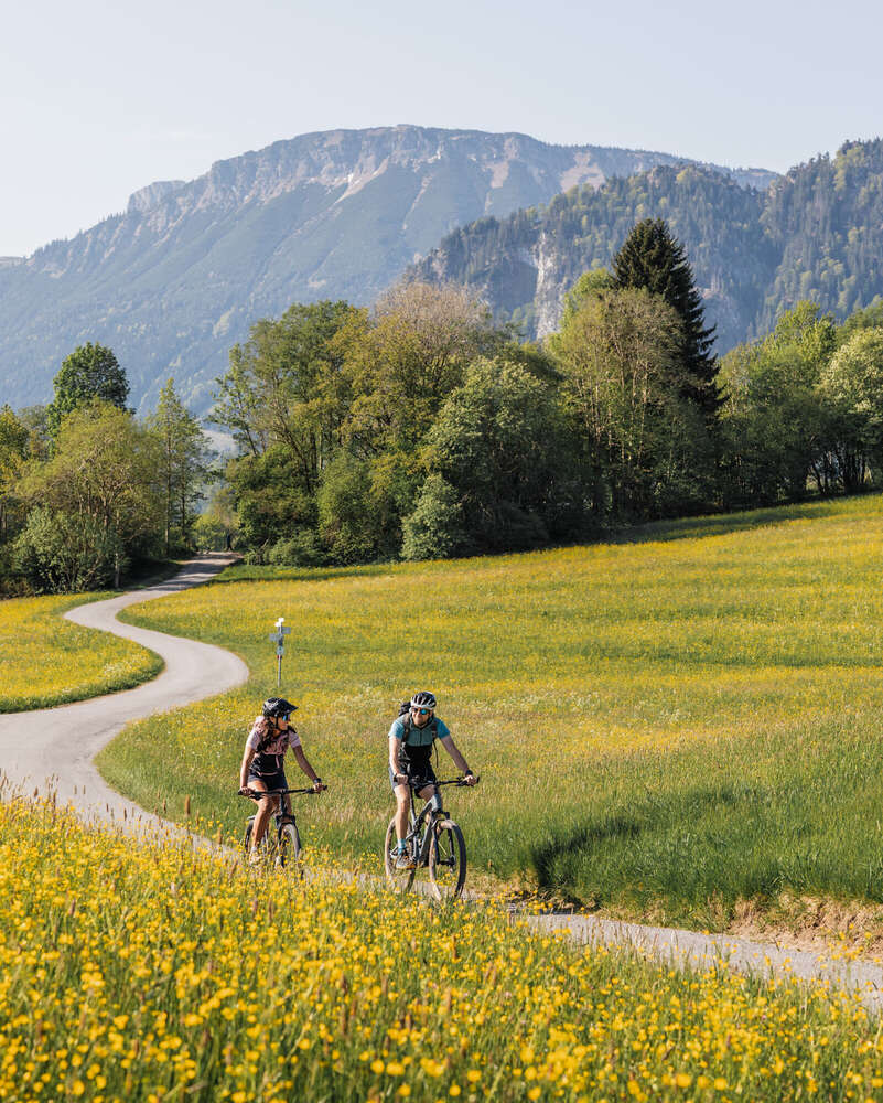 Simon Brausten Photography