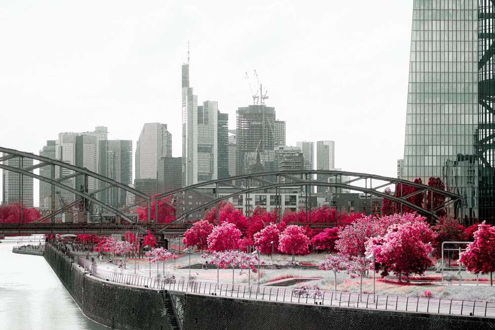 Tim Goger - Eventfotograf