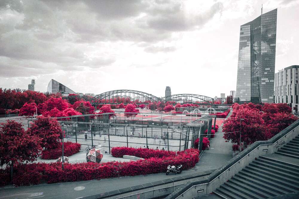 Tim Goger - Eventfotograf