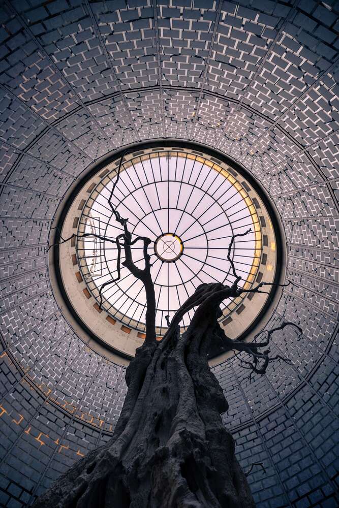 Tim Goger - Eventfotograf (Tim Goger - Eventfotograf)