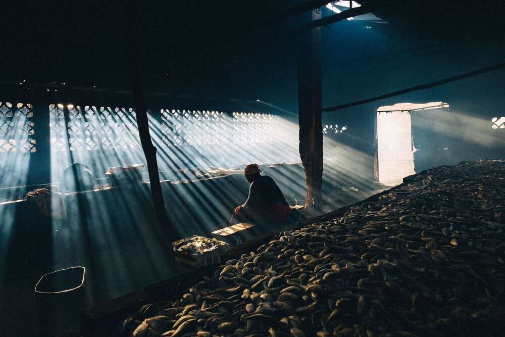 EVOLAIR - Aerial Photography GmbH (EVOLAIR - Aerial Photography GmbH)