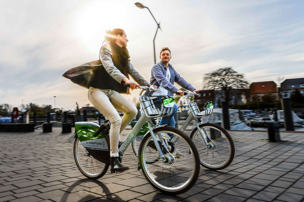 Kampagne (Frank Molter)