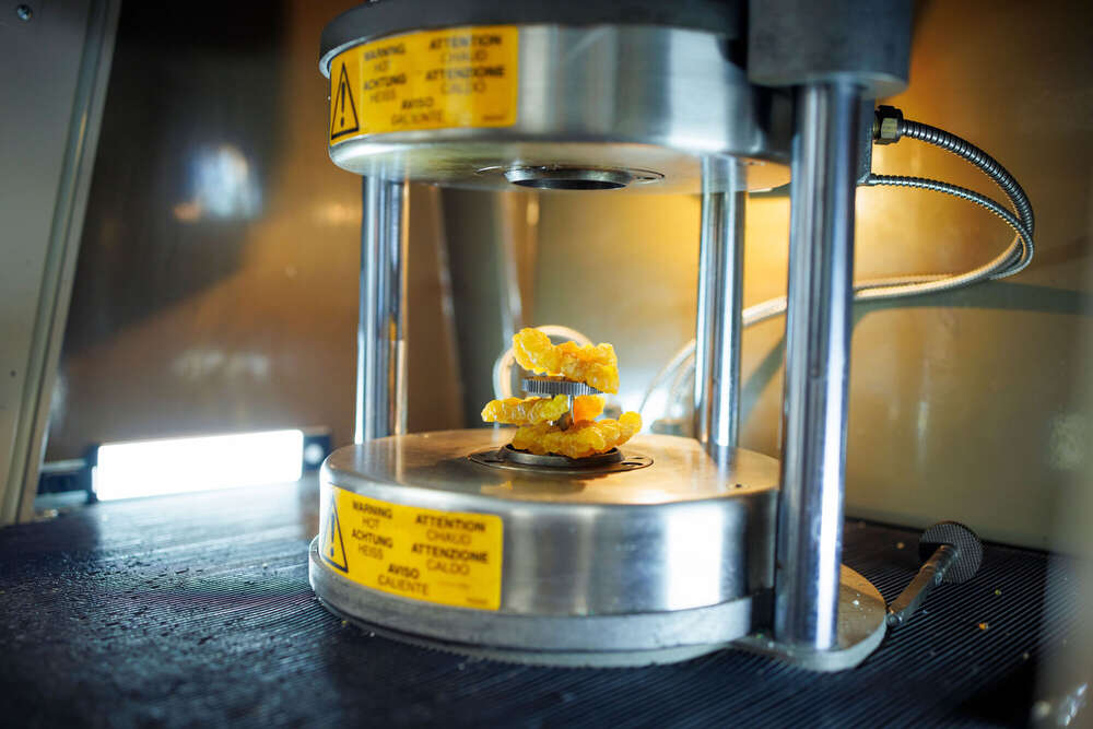 Kampagne (Frank Molter)