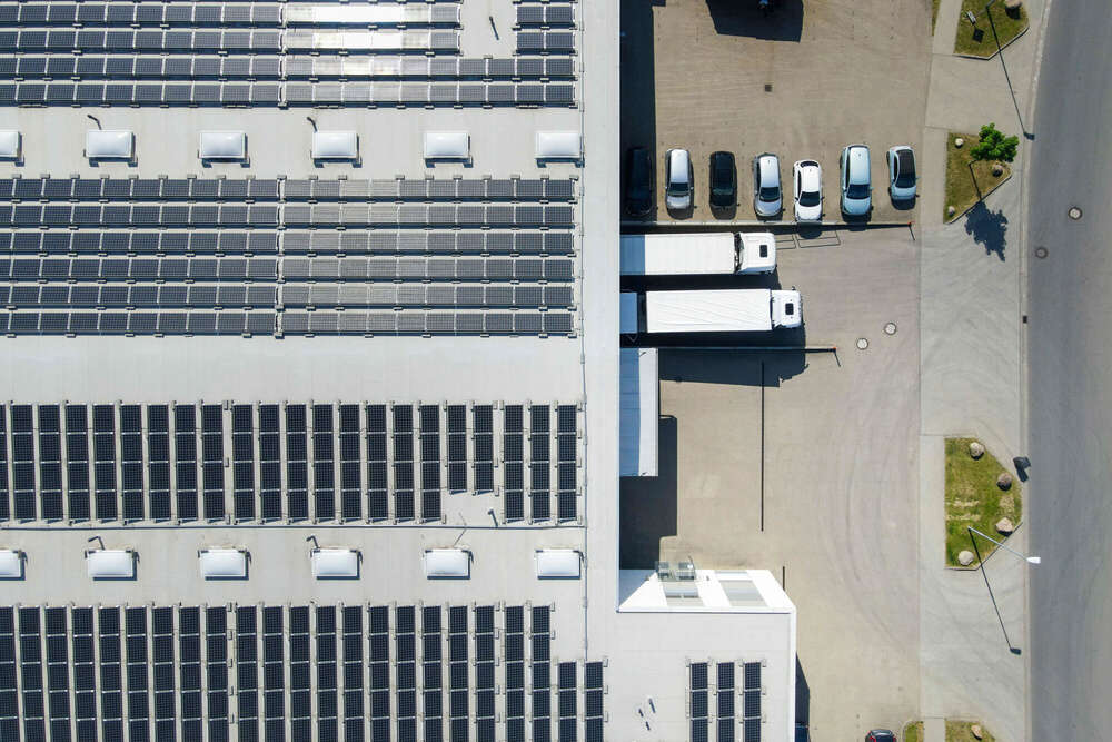 Kampagne (Frank Molter)