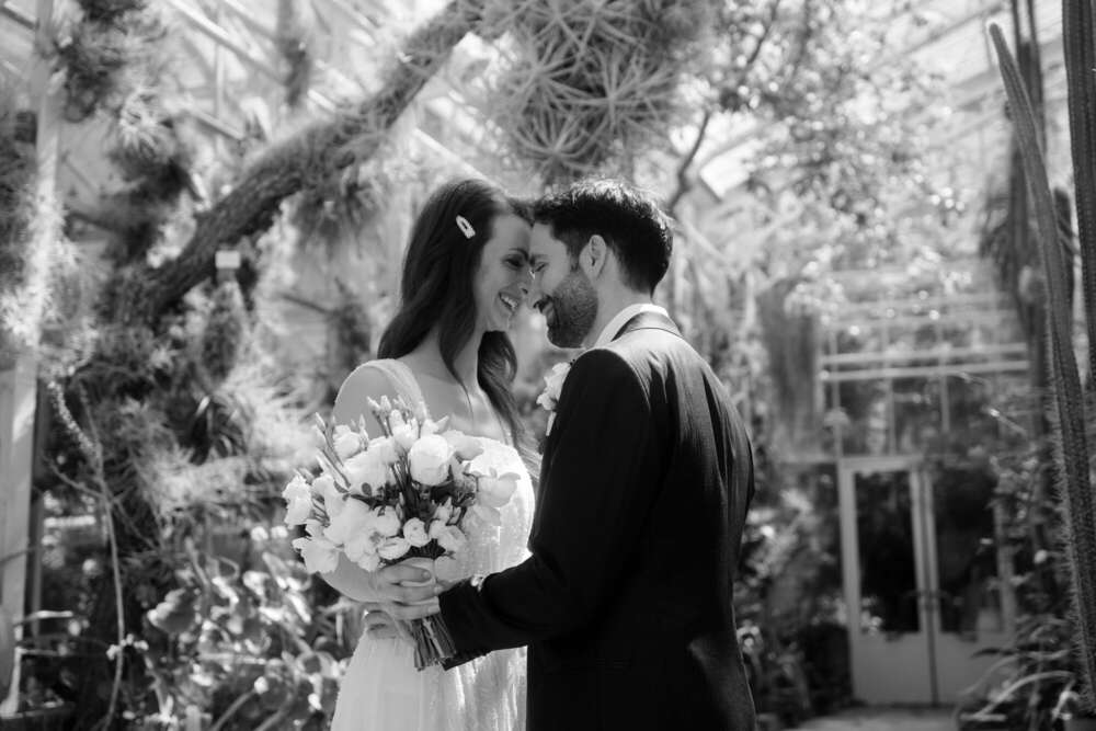 Eduard Hajdu (Eduard Hajdu)