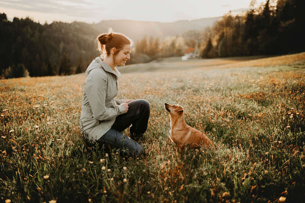Hund-Mensch-Team (Johanna Olbrich)